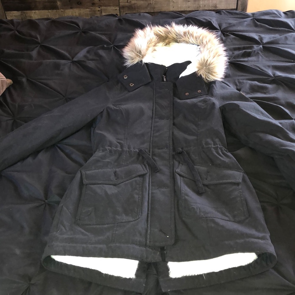 Hollister winter coat